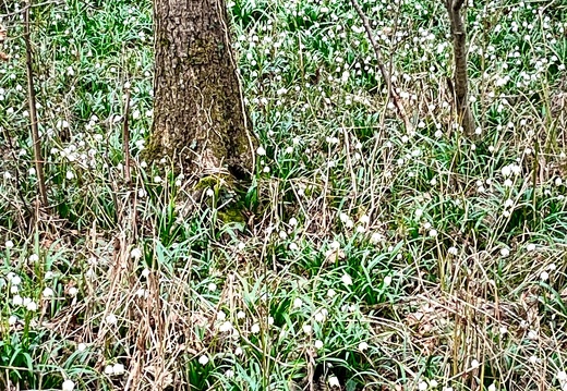 23-03-13 13-47-51 4860